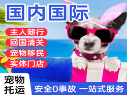 厦门高崎航空快运国际宠物托运 【国
